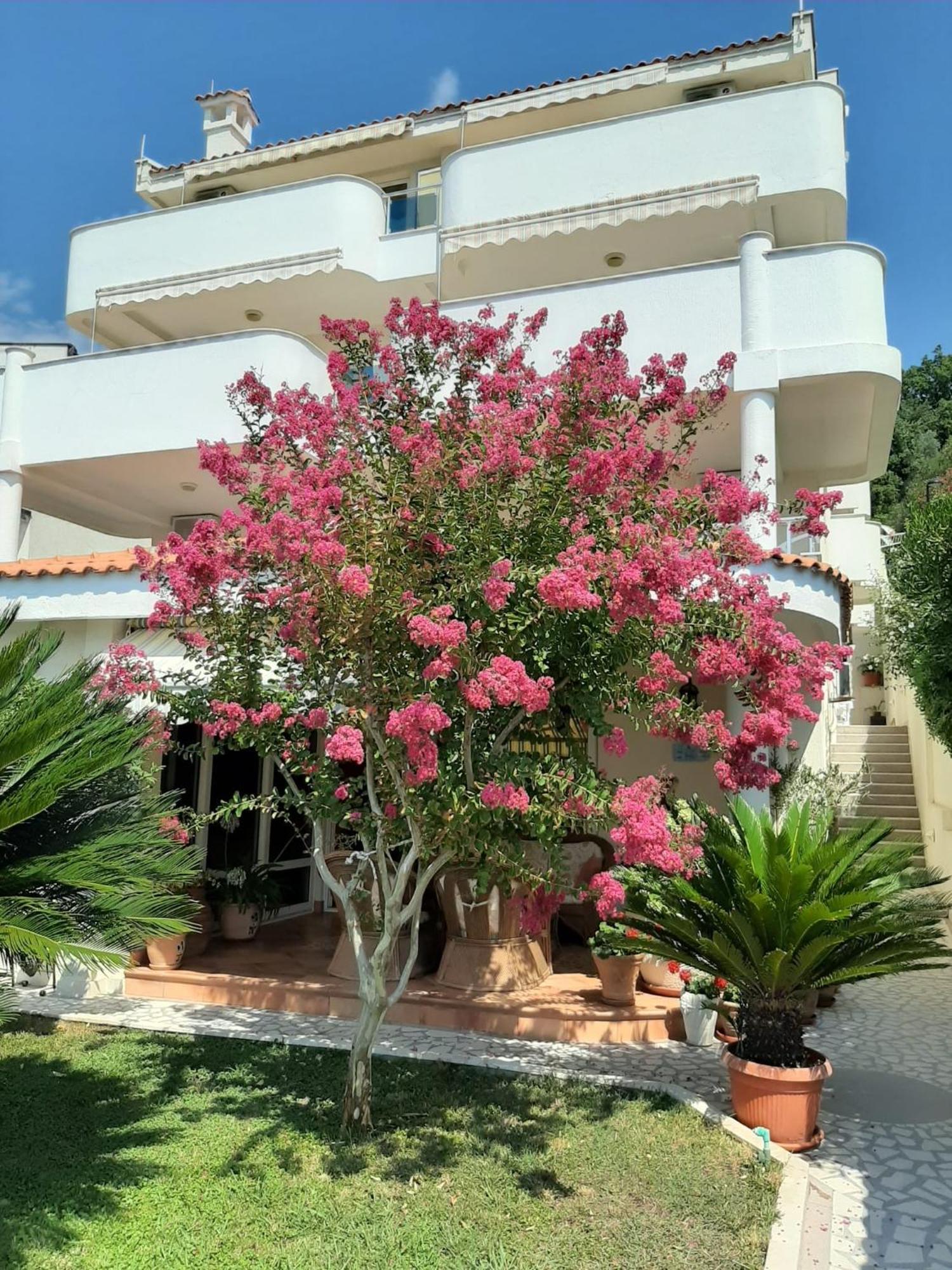 Apartments Villa Mare Mar Sutomore Exterior photo